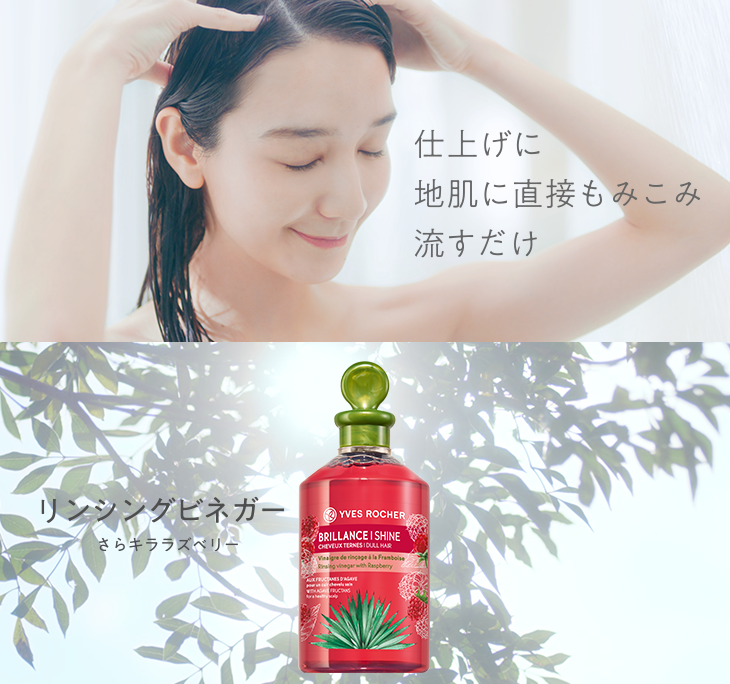 イヴロシェ リンシングビネガー さらキララズベリー 50ml 日本全国