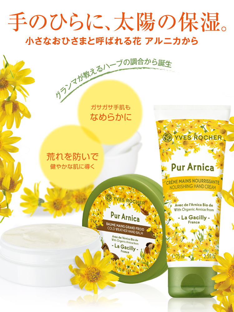 アルニカ